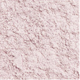 JUNGSAEMMOOL 提亮蜜粉 Essential Powder Illuminator