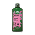 YVES ROCHER Raspberry Shine（Dry & Frizzy Hair）洗髮露 300ml