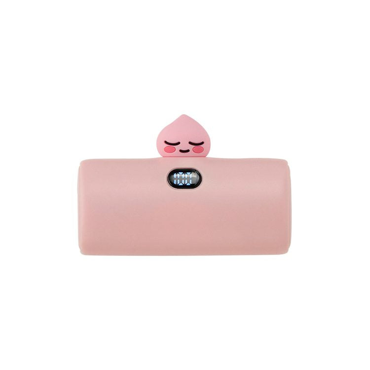 Korea Kakao Friends Power Bank 5000mAh Type-C (4 colors in total)