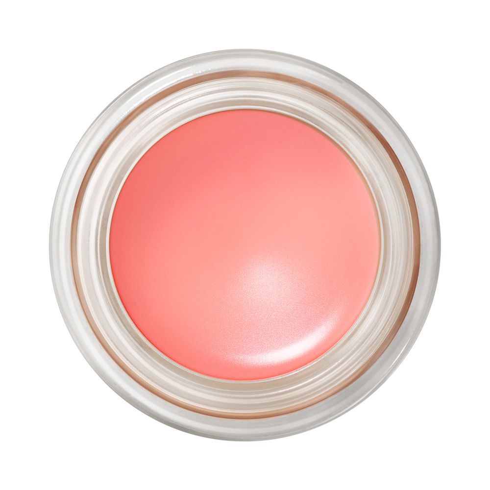 MAC Pro Longwear Paint Pot 眼影